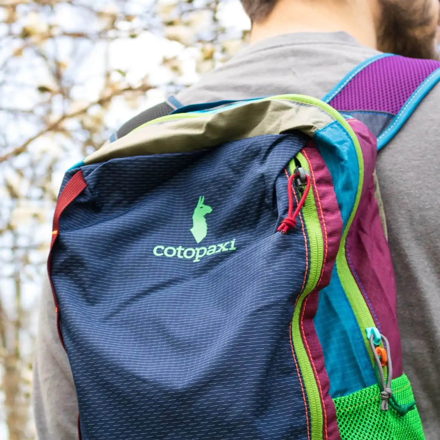 Cotopaxi Batac Backpack image 2